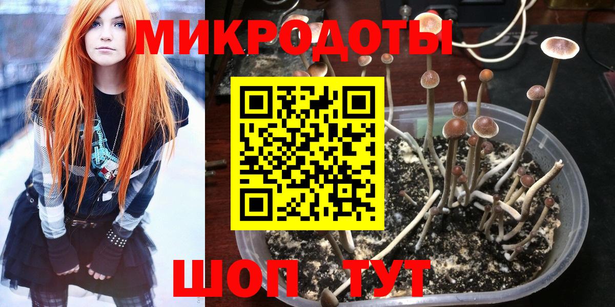 Псилоцибиновые грибы GOLDEN TEACHER Чебоксары