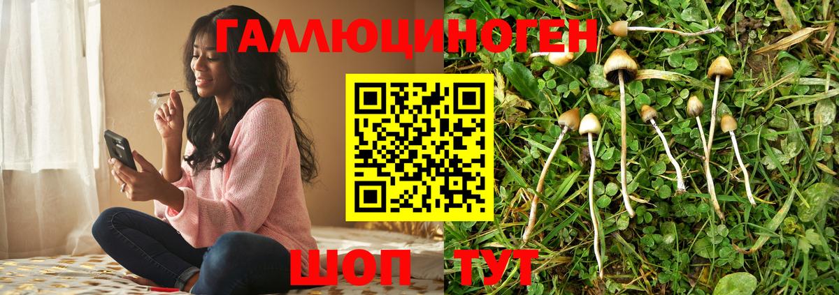Псилоцибиновые грибы GOLDEN TEACHER  Вход с VPN  Чебоксары 